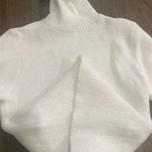 Zara Fuzzy Turtleneck Sweater